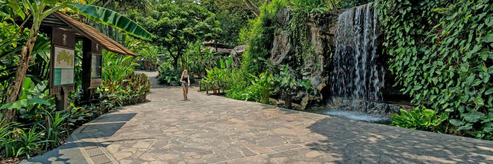 Singapore botaniske hage